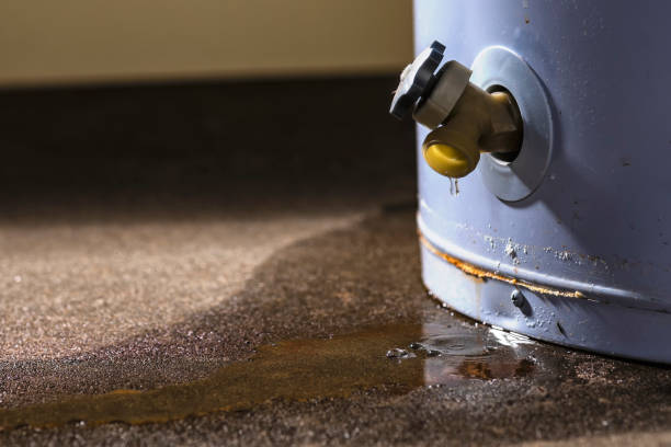Best Water damage restoration near me  in Pearland, TX