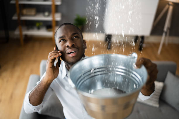 Best Water damage restoration near me  in Pearland, TX