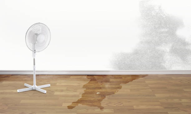  Pearland, TX Water damage restoration Pros