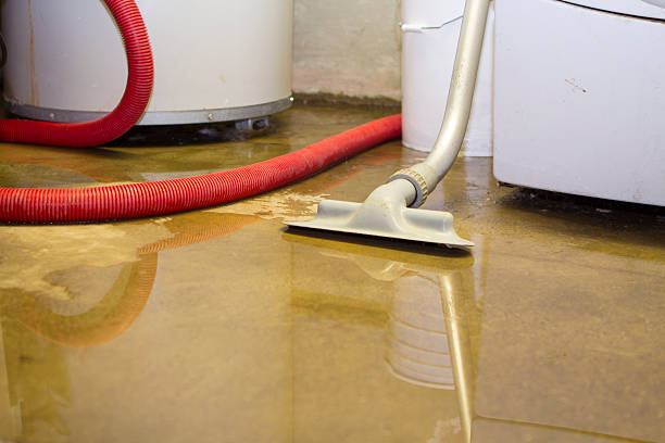 Best Water damage restoration company  in Pearland, TX