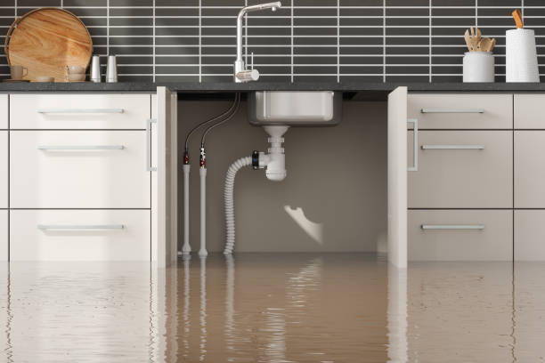 Best Emergency water damage restoration  in Pearland, TX