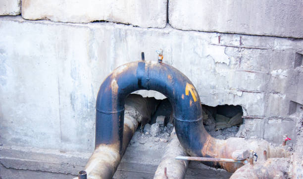 Best Local water damage restoration  in Pearland, TX