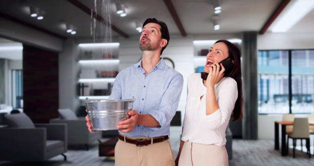 Best Water damage contractors near me  in Pearland, TX